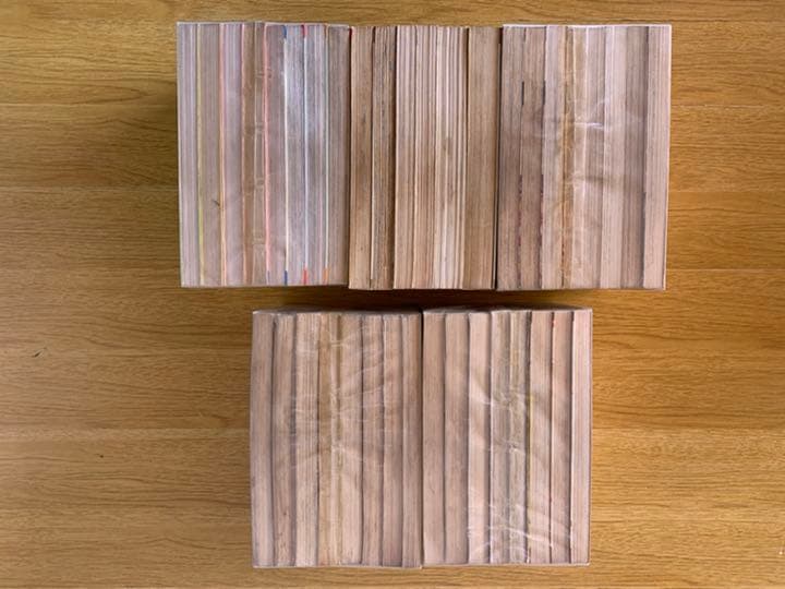 絶版 西谷祥子 志賀公江 藤原栄子 忠津陽子 峯岸ひろみ 丘けい子 木原としえ