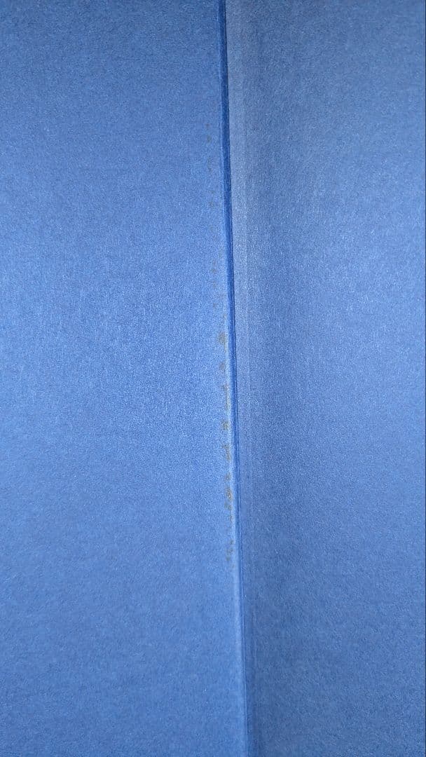 洋書　SEGANTINI ジョヴァンニ・セガンティーニ　作品集