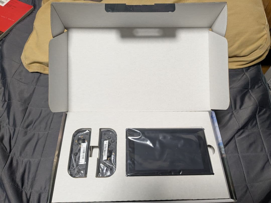 スイッチ本体＋プロコントローラー　モンハンライズ　スペシャルエディション