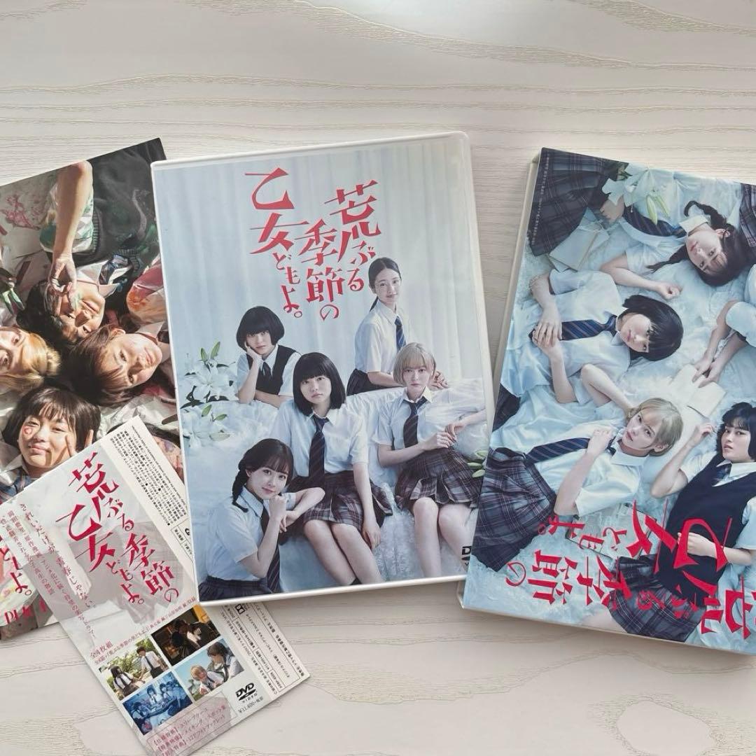 「荒ぶる季節の乙女どもよ。」DVD-BOX 酒井麻衣