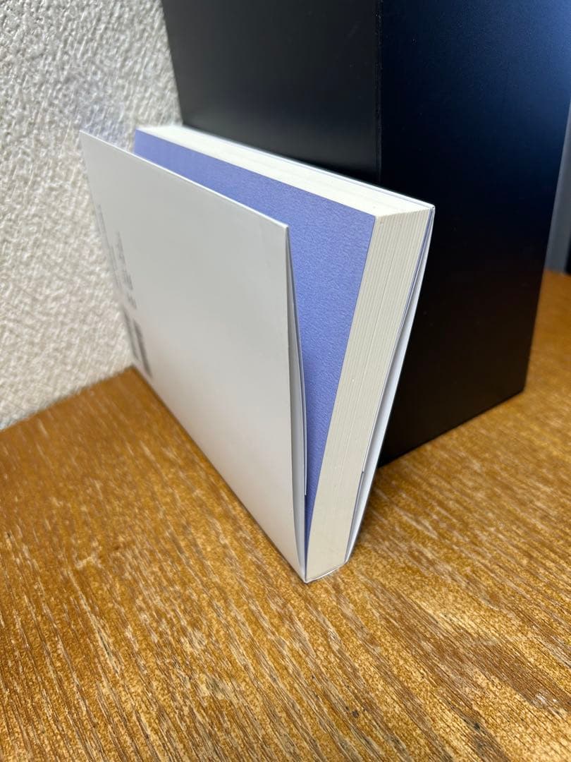 光の魂たち 山岳編 序章 人の御魂を磨く聖なる山々　中古書籍