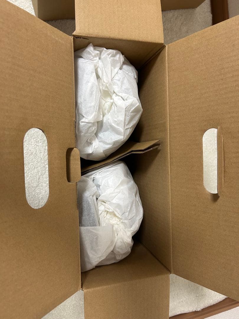 SALOMON RHYTHM ホワイト M ビンディング