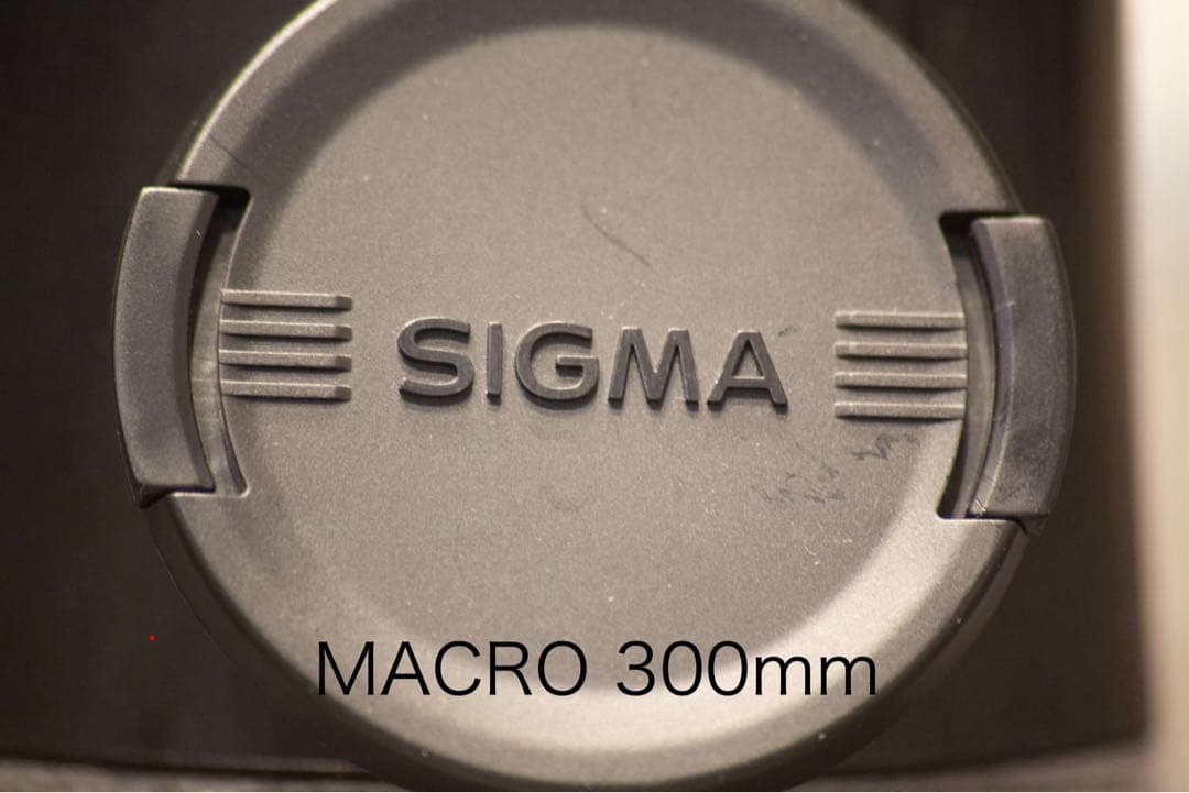 SIGMA 70-300mm F4-5.6 DG ズームレンズ