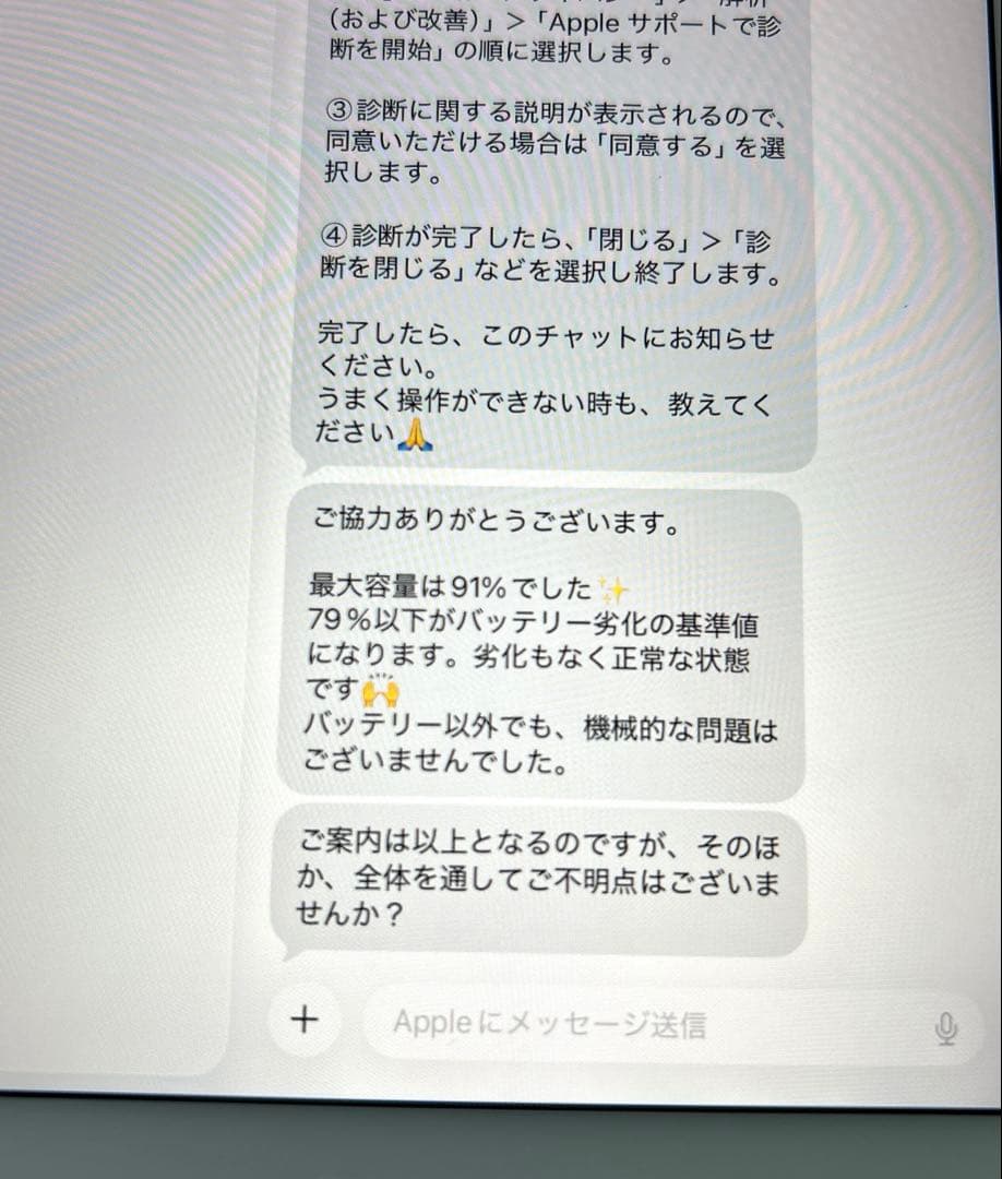 iPad mini5 第5世代 64GB (10) 91%