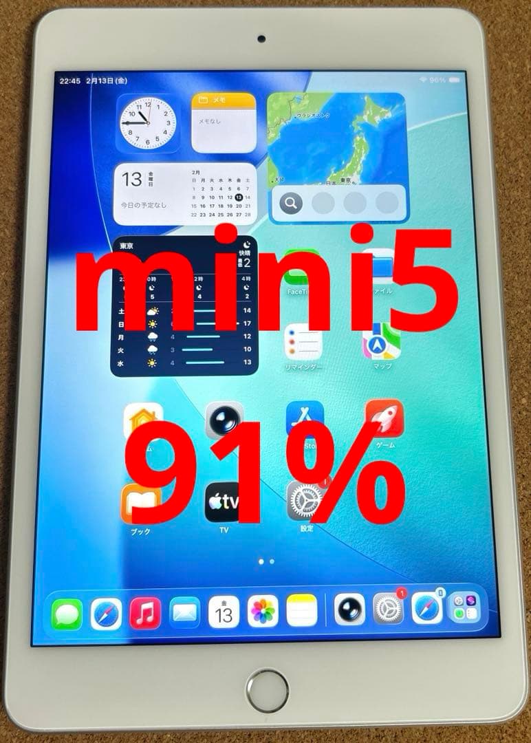 iPad mini5 第5世代 64GB (10) 91%
