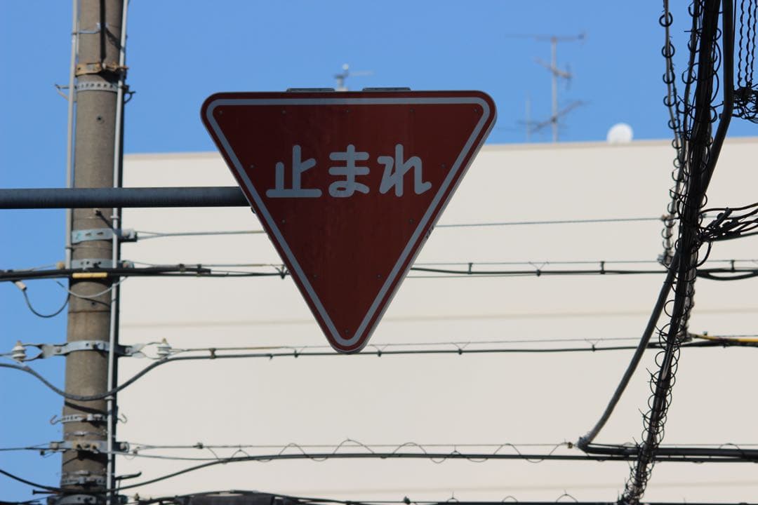 SIGMA シグマ150-500mm 1:5-6.3APO HSM キャノン用