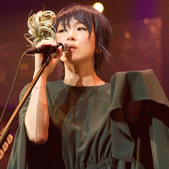 椎名林檎 (生)林檎博'14 年女の逆襲 初回限定盤 Blu-ray