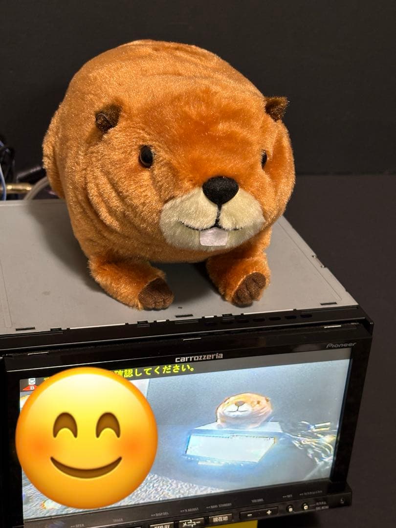 いっちゃん Pioneer CYBERNAVI AVIC-ZH9990