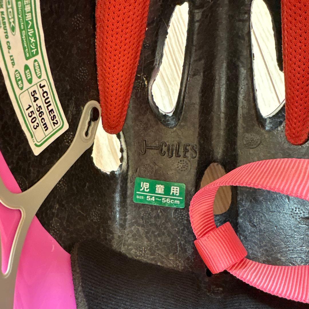 子供用自転車 ブリヂストン　Wild Berry 22インチ