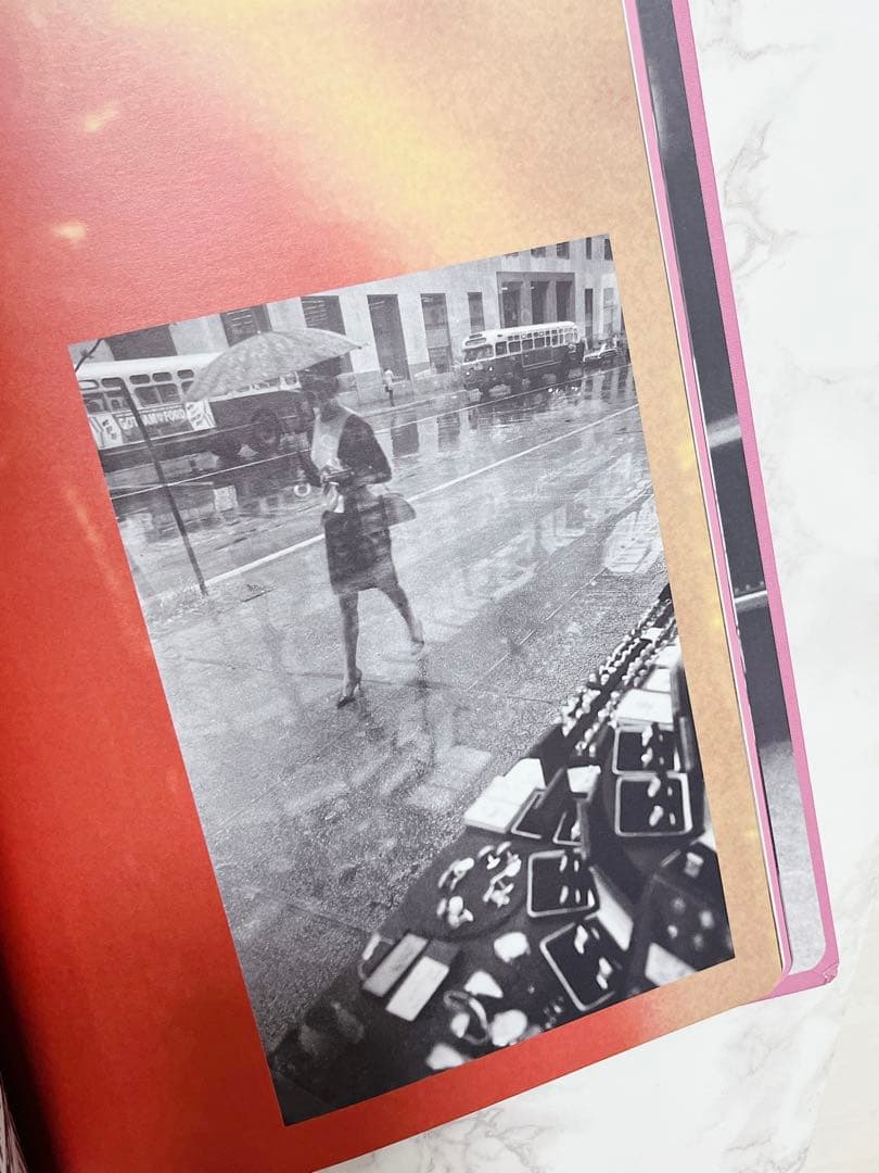 【LOUIS VUITTON】NEW YORK SAUL LEITER美品写真集