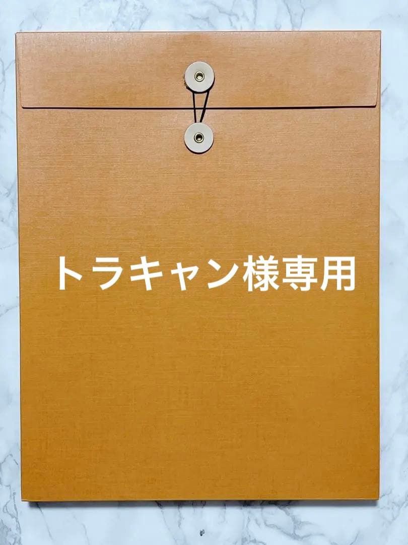 【LOUIS VUITTON】NEW YORK SAUL LEITER美品写真集