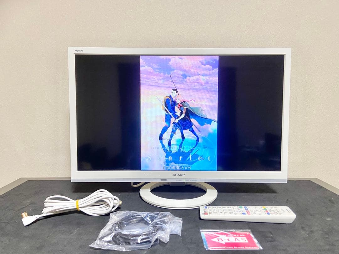 【今だけ優待価格】SHARP AQUOS｜24V型HD・Wチューナー