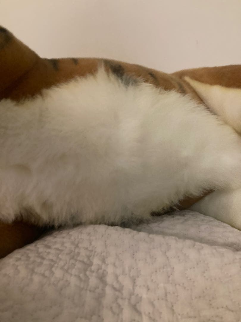 HANSA トラ ぬいぐるみ スツール 実物大