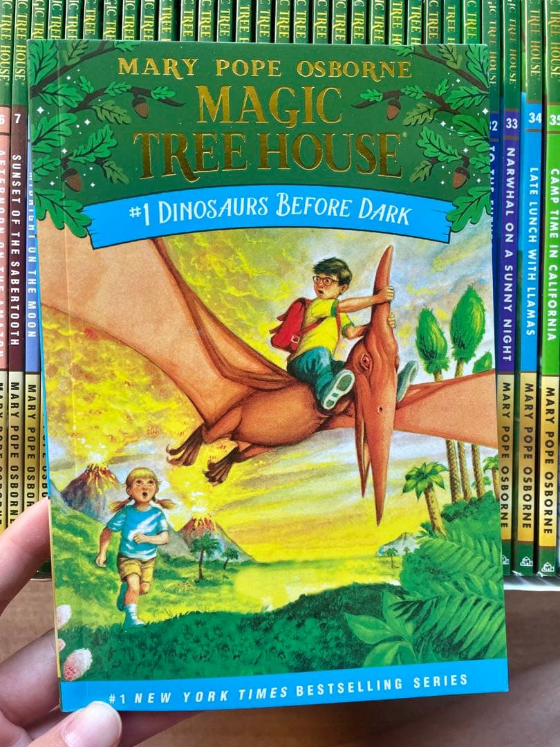 新品Magic Tree Houseシリーズ1 -2英語絵本66冊
