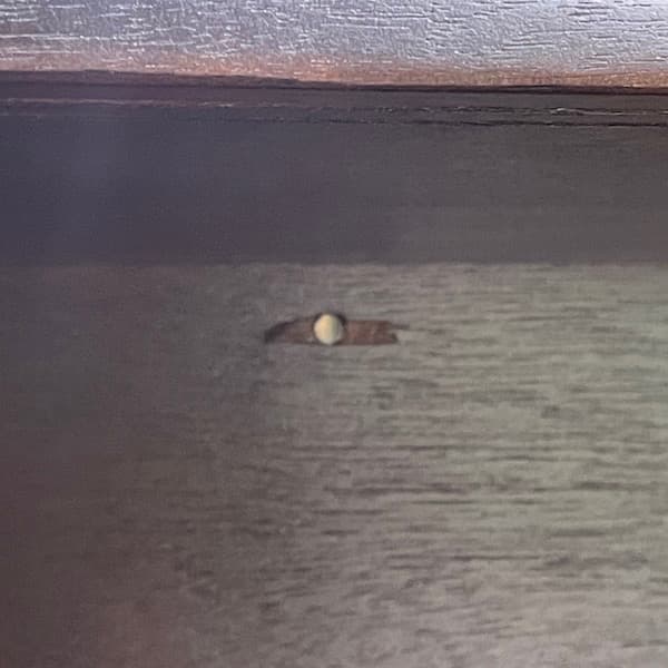 イギリスビンテージ　ガラスキャビネット　ブックシェルフ　サイドボード