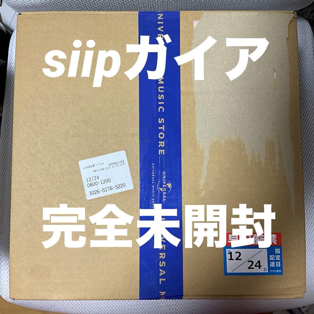 本日発送【完全生産限定盤】 siip ガイア　完全未開封