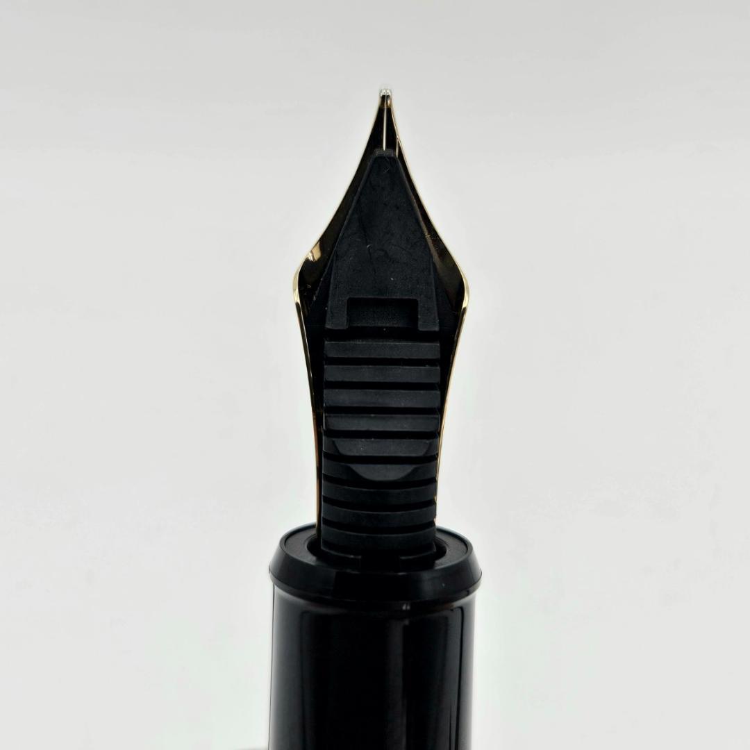 PLATINUM 万年筆 #3776 センチュリー 14K 585 M ブラック