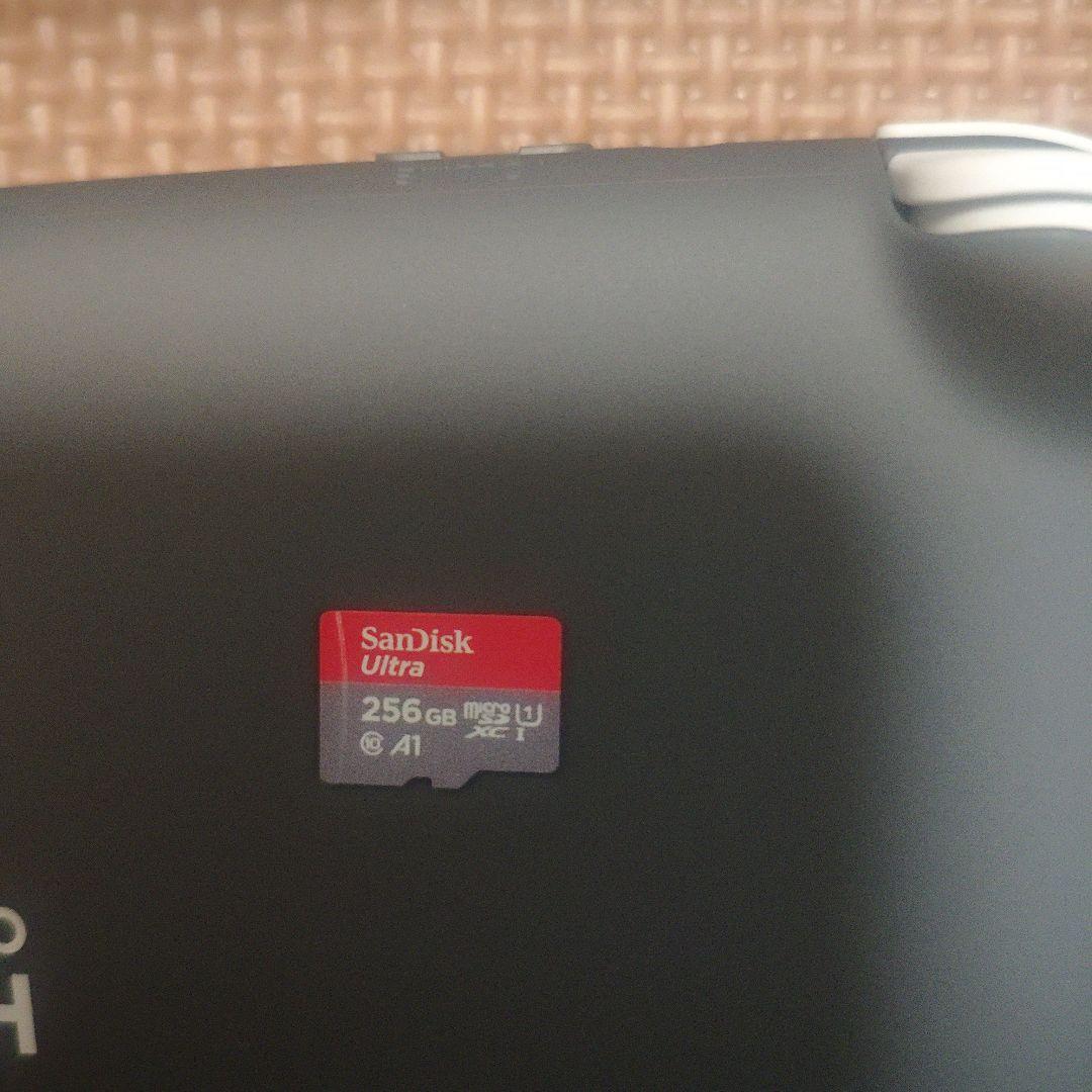 Nintendo Switch Lite グレー 本体　超美品