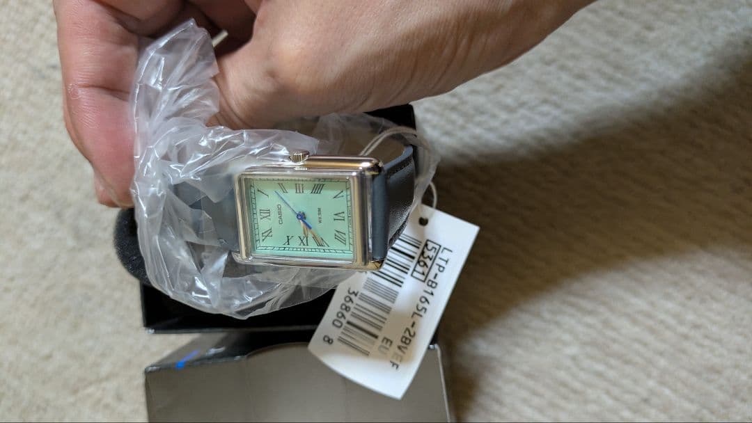 CASIO　B165L　 カシオタンク