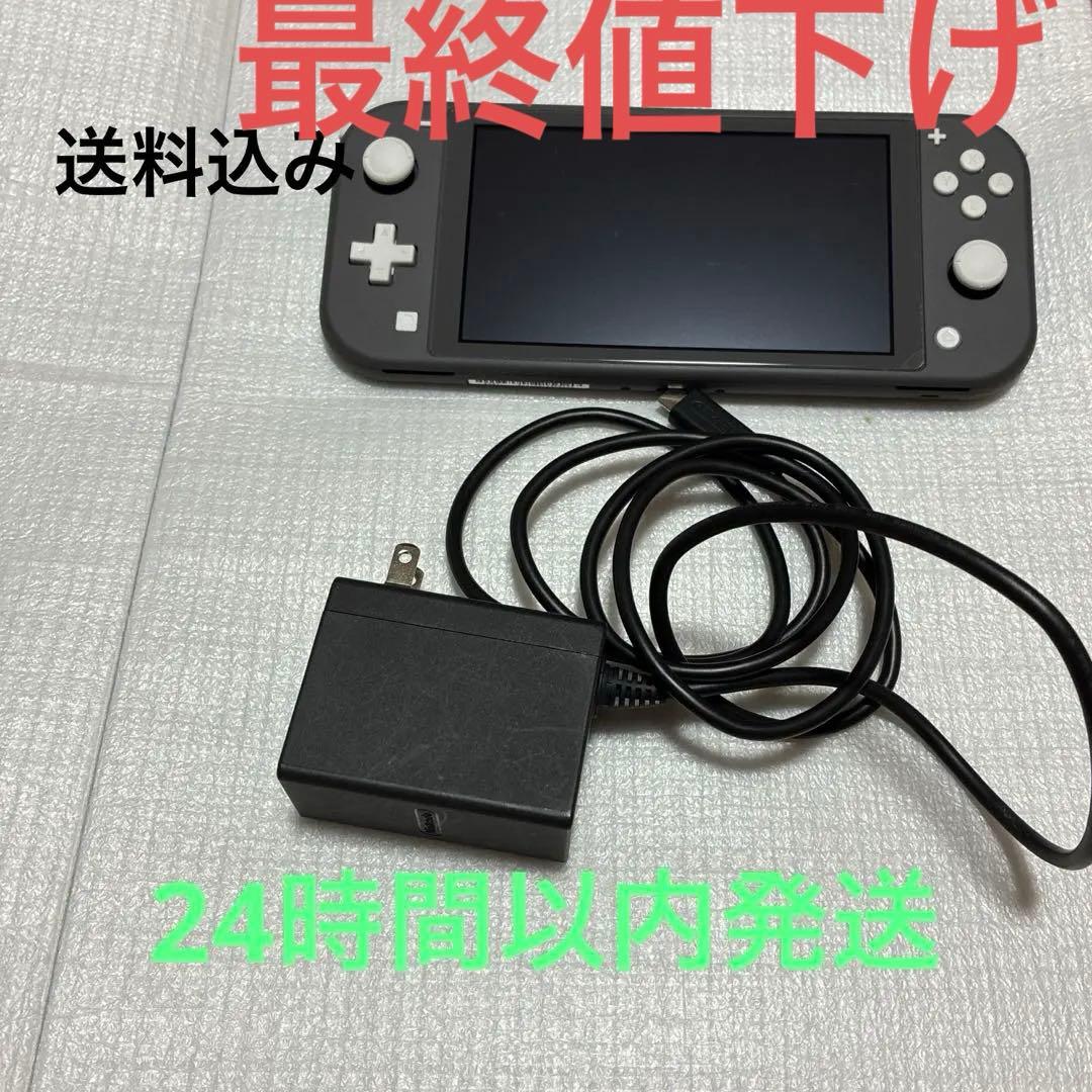 Switchライト本体