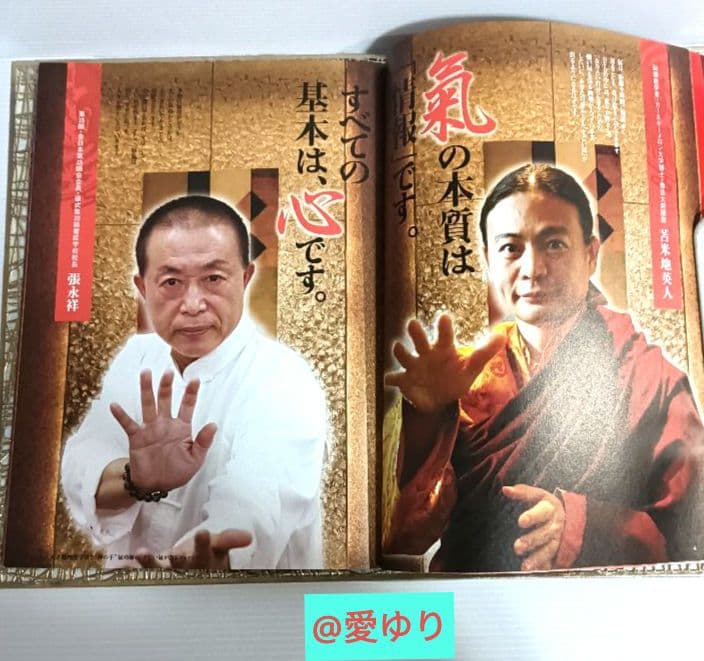 Dr.苫米地＆神の手氣功師『すごい氣が出るDVDブック完全版』苫米地英人⭐張永祥