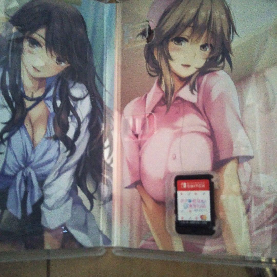 Switch ボクと彼女たちの実習日誌 限定版