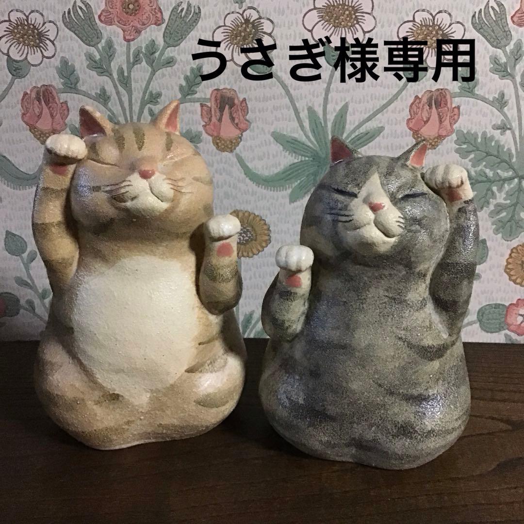 うさぎ(=^ェ^=)