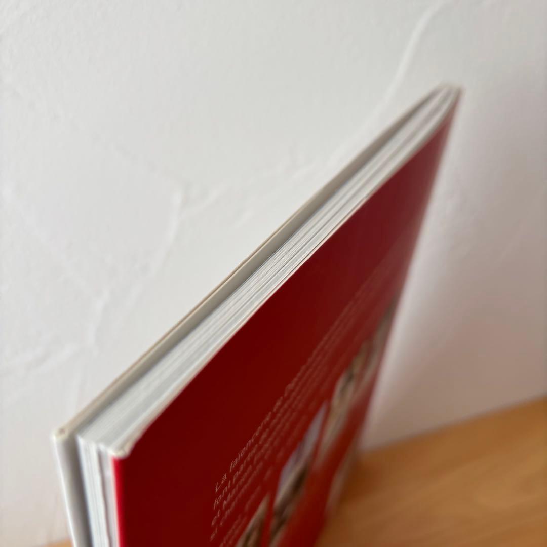 専用/クロスステッチ刺繍本/フランス