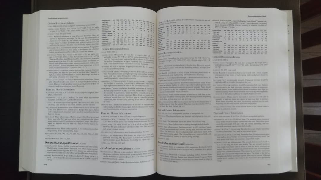 洋書 Orchid Species Culture : Dendrobium