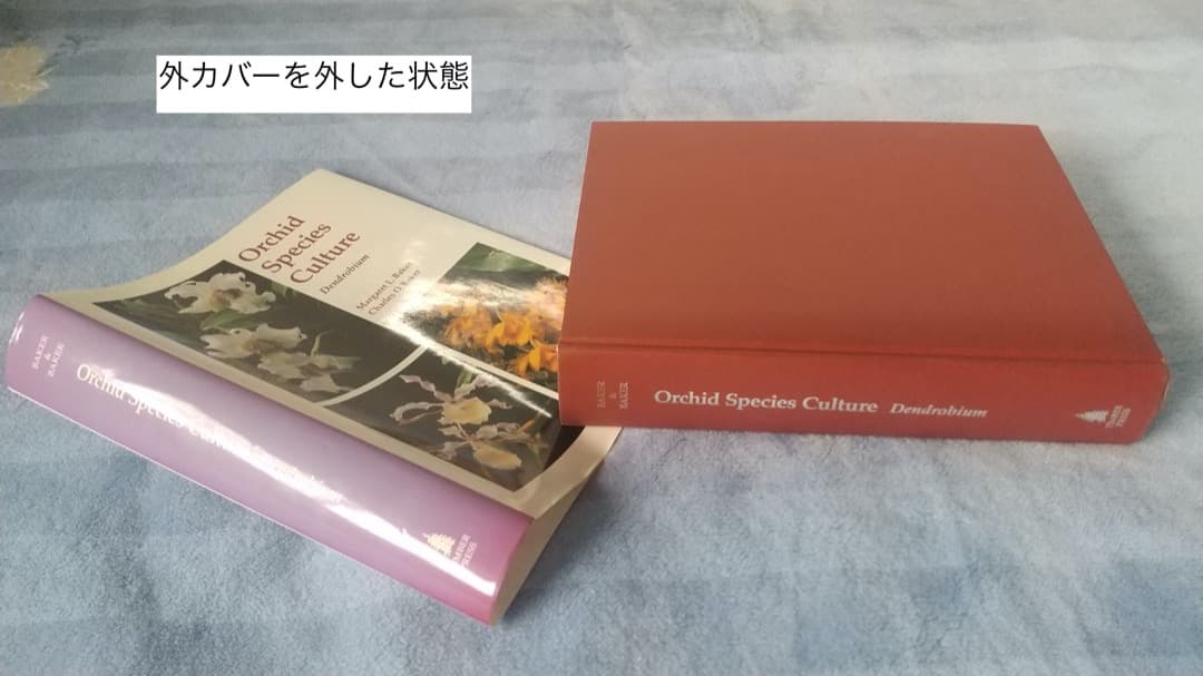 洋書 Orchid Species Culture : Dendrobium