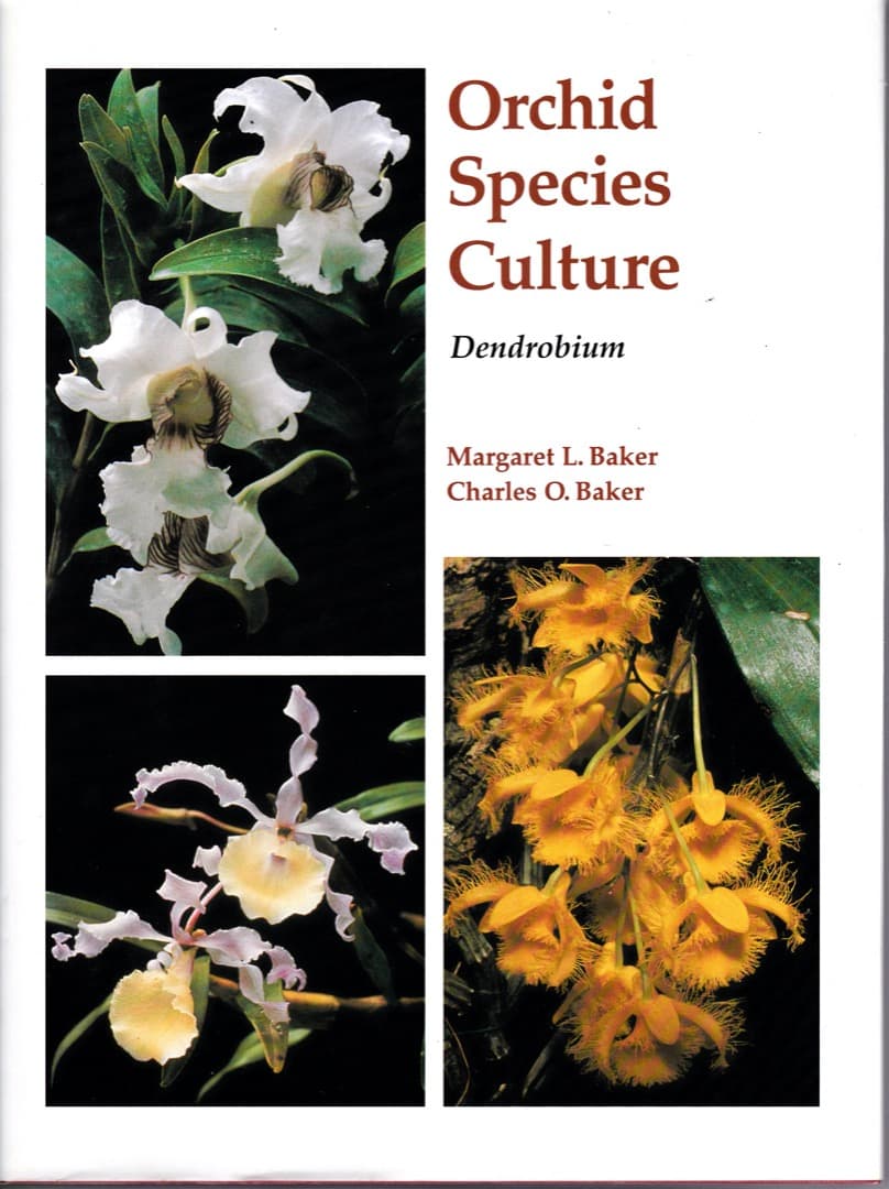 洋書 Orchid Species Culture : Dendrobium
