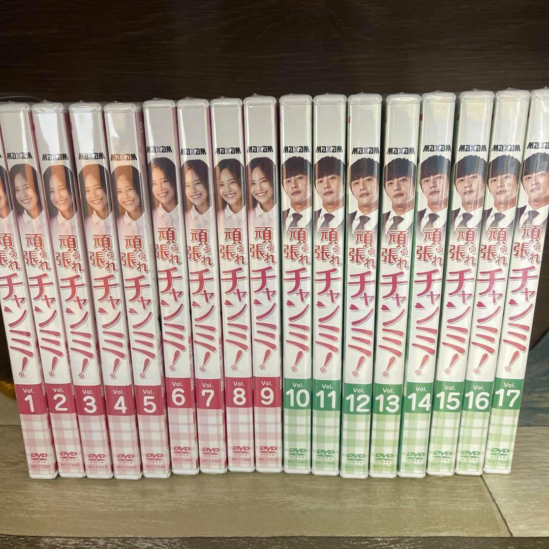 RG37 頑張れチャンミ! 全41巻セット（DVD）　新品未開封