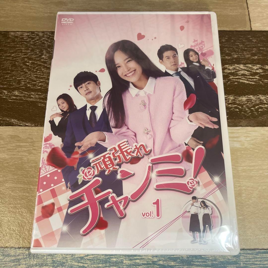 RG37 頑張れチャンミ! 全41巻セット（DVD）　新品未開封