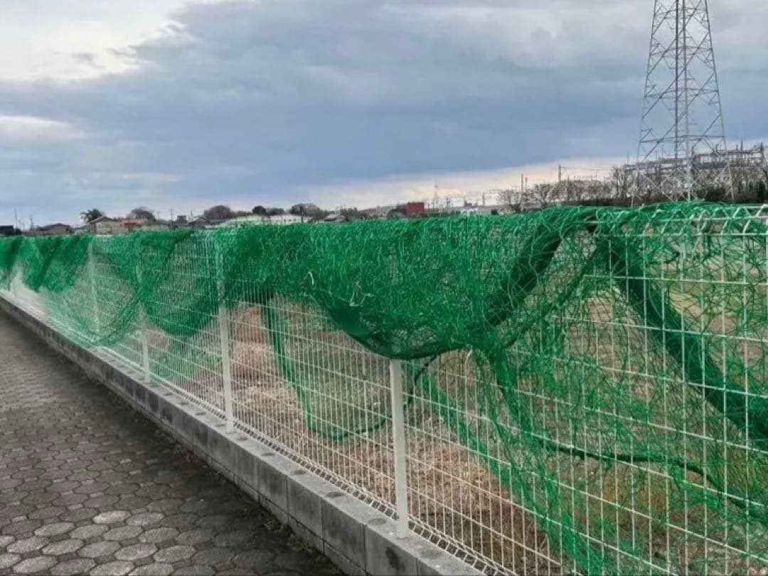 防球ネット グリーン　 約37m×約10m