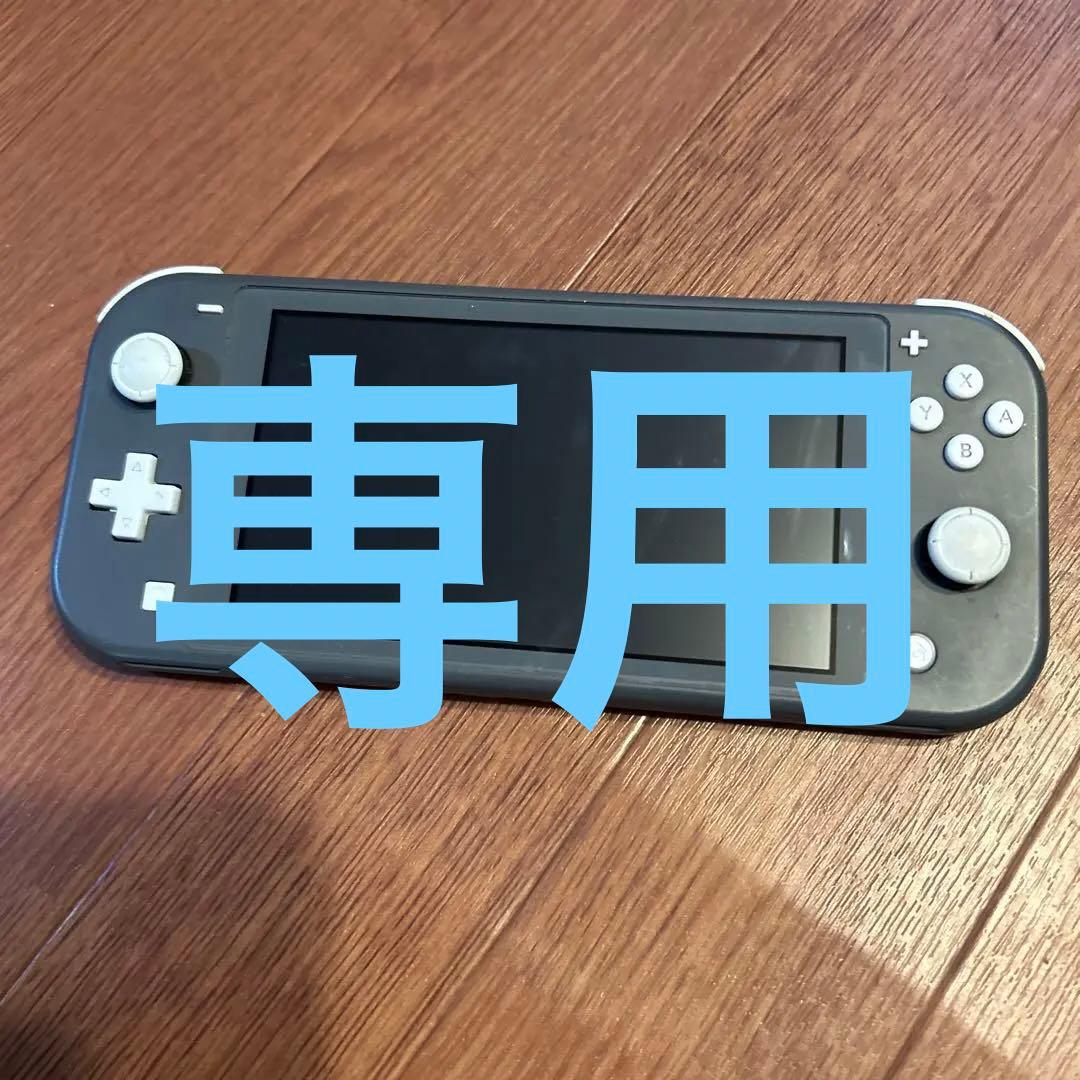 【ジャンク品】Nintendo Switch Lite グレー 本体 付属なし