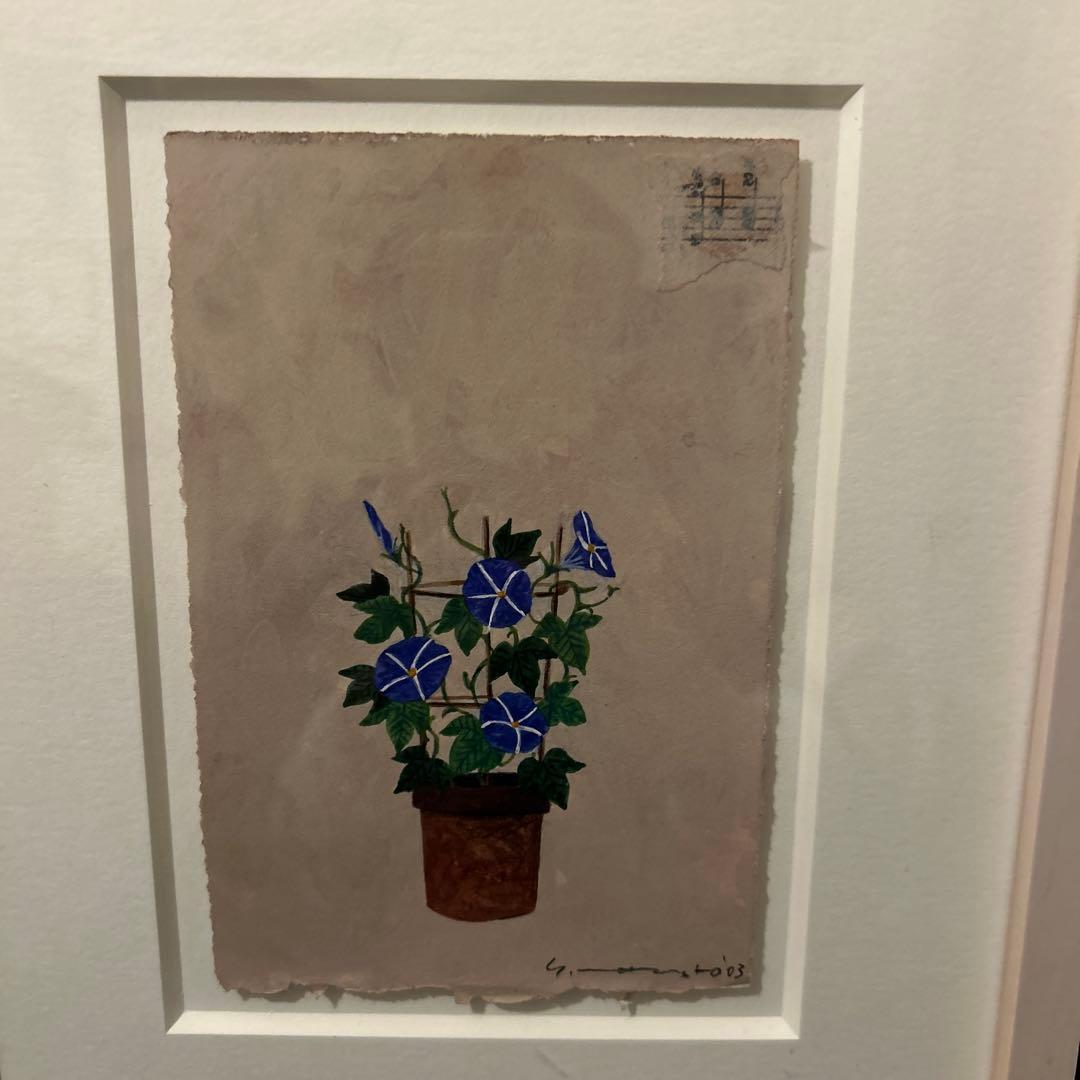 マツモトヨーコ　ドローイング　絵画　朝顔　ハガキサイズ