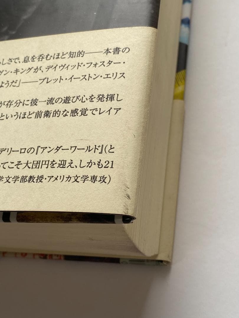 マーク・Z・ダニエレブスキー『紙葉の家』嶋田洋一訳、ソニーマガジンズ、2002年