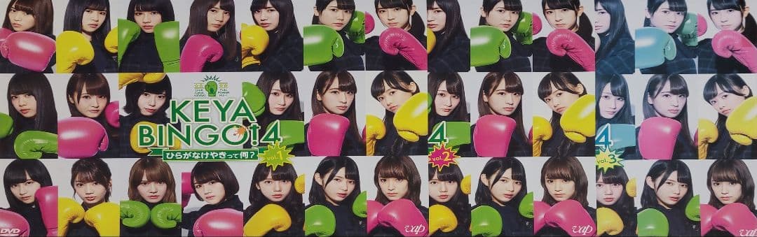 KEYABINGO! HINABINGO! DVD レンタル落ち 全9巻 セット