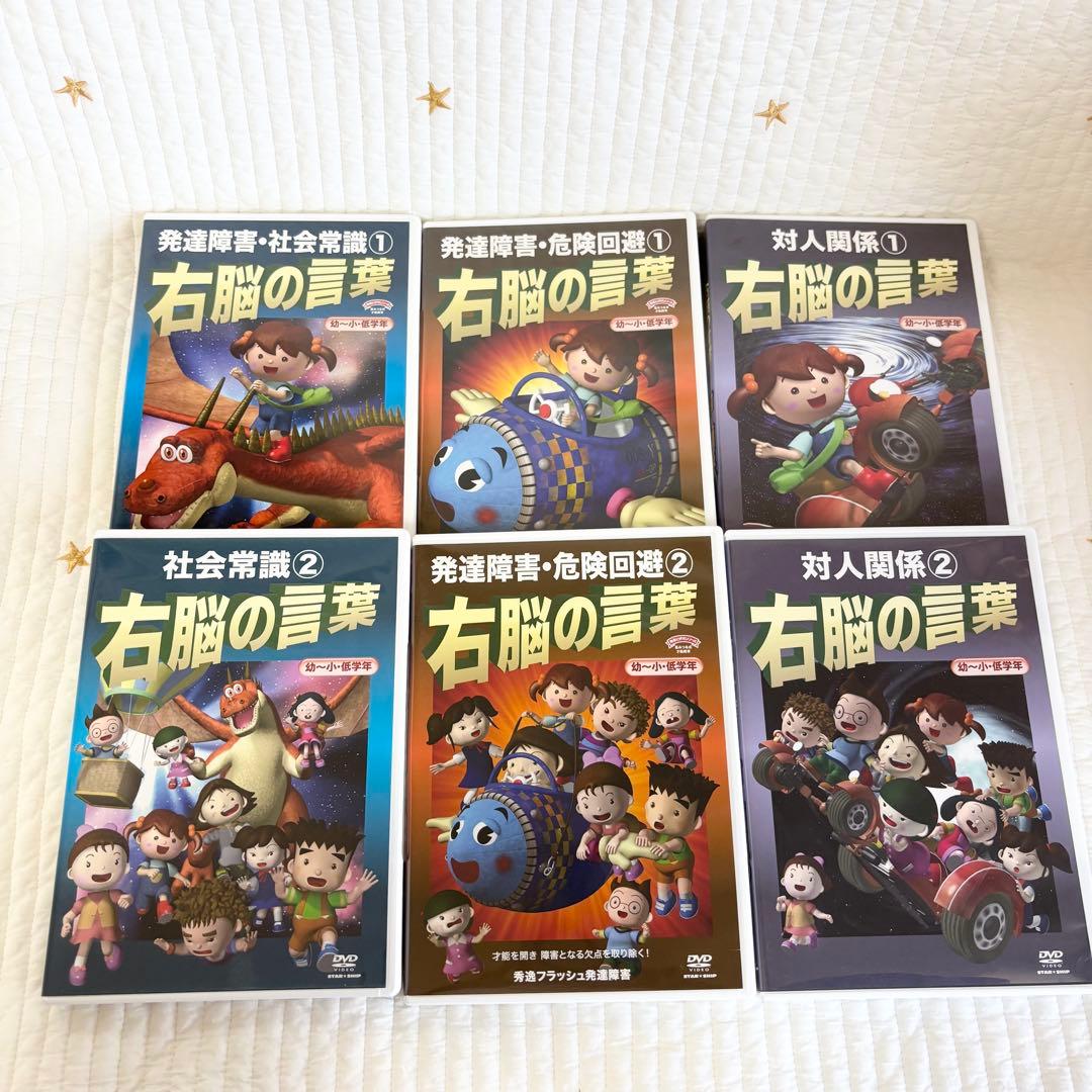 値下げしました！ 星みつる　ソーシャルスキル　右脳の言葉 DVD12巻セット