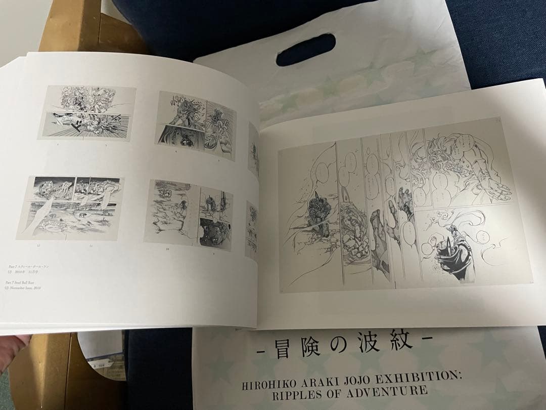【美品❗️早い者勝ち❗️】荒木飛呂彦原画展 JOJO - 冒険の波紋 -図録