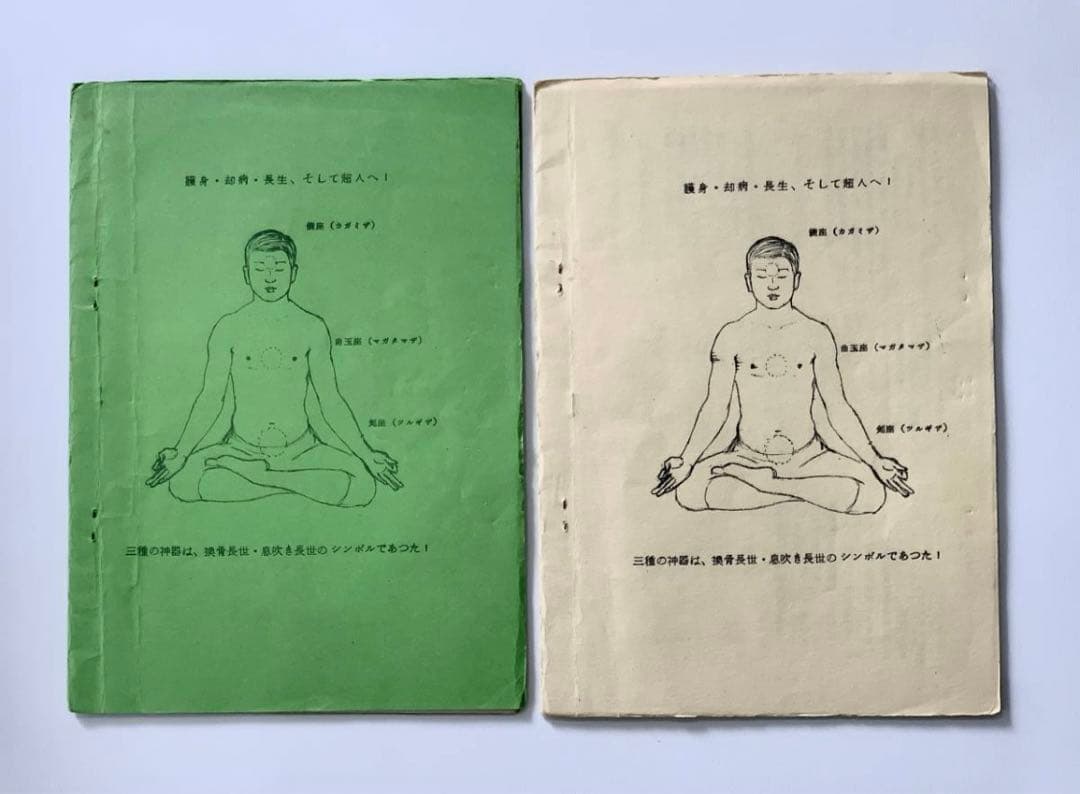 【超希少】堀辺 正史　換骨拳　骨法　セット　拳法　武術　合気道　秘術