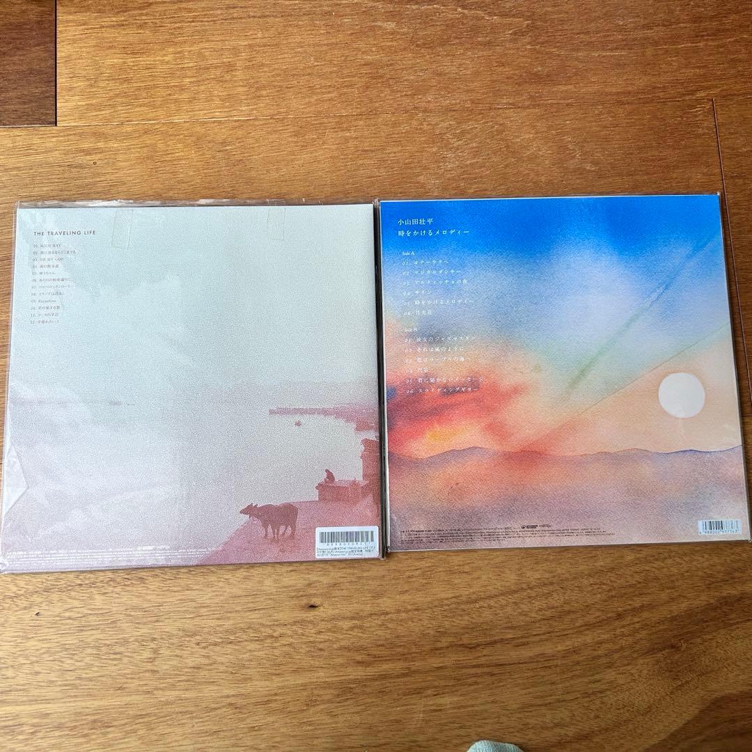 小山田壮平 LP The Traveling Life 時をかけるメロディー