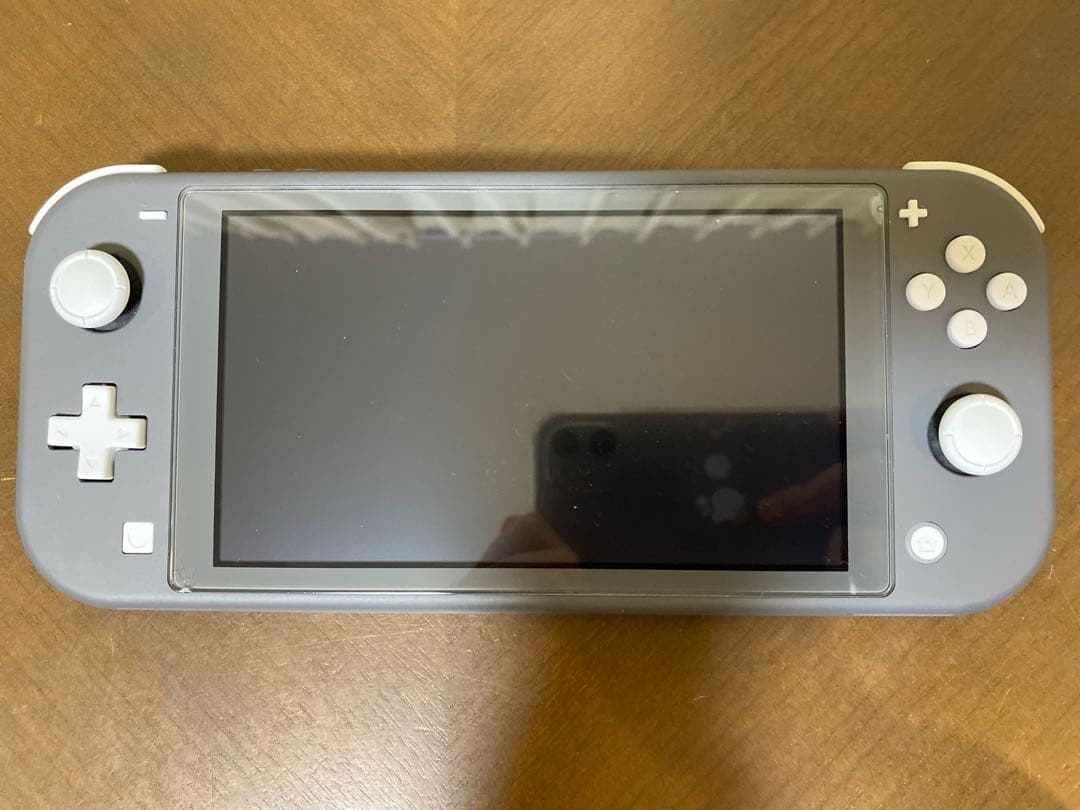 Nintendo Switch Lite グレー 本体＋カセットつき