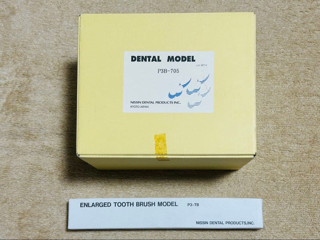 ニッシン 歯磨き指導用 大顎模型 大型歯ブラシ付
