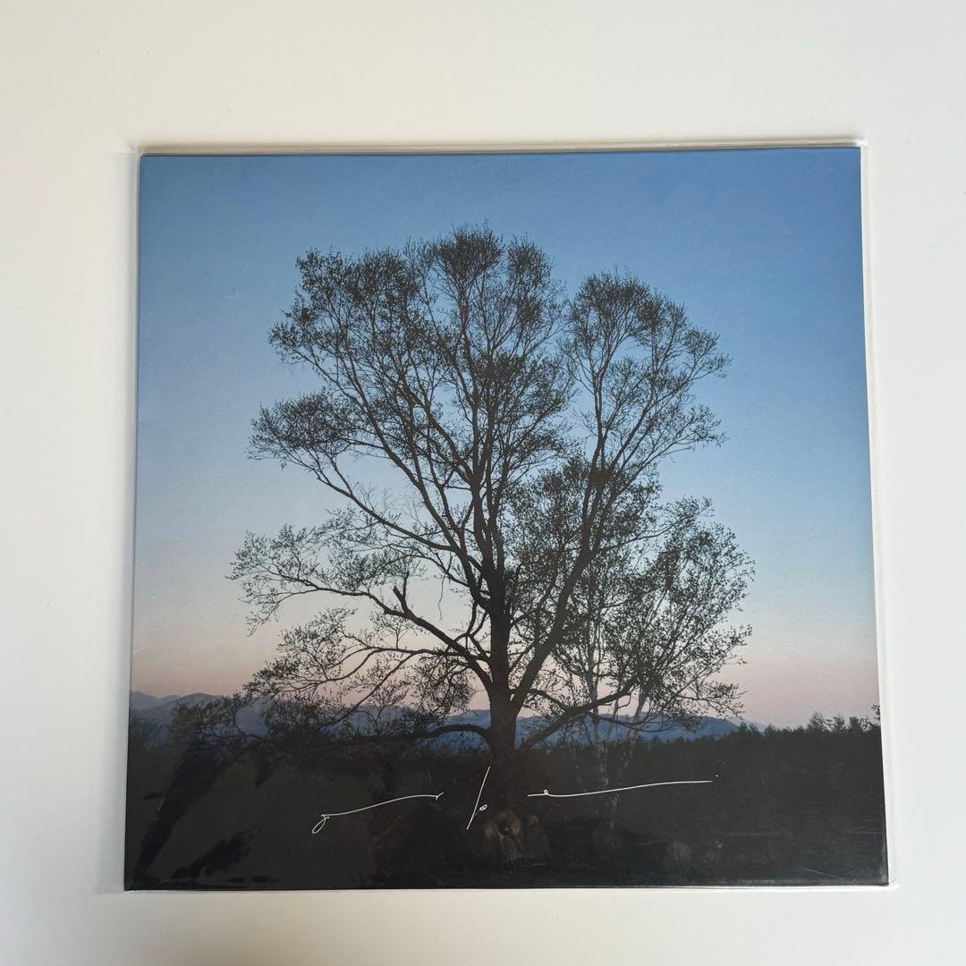 orbe Haruka Nakamura 新品未使用　レコード