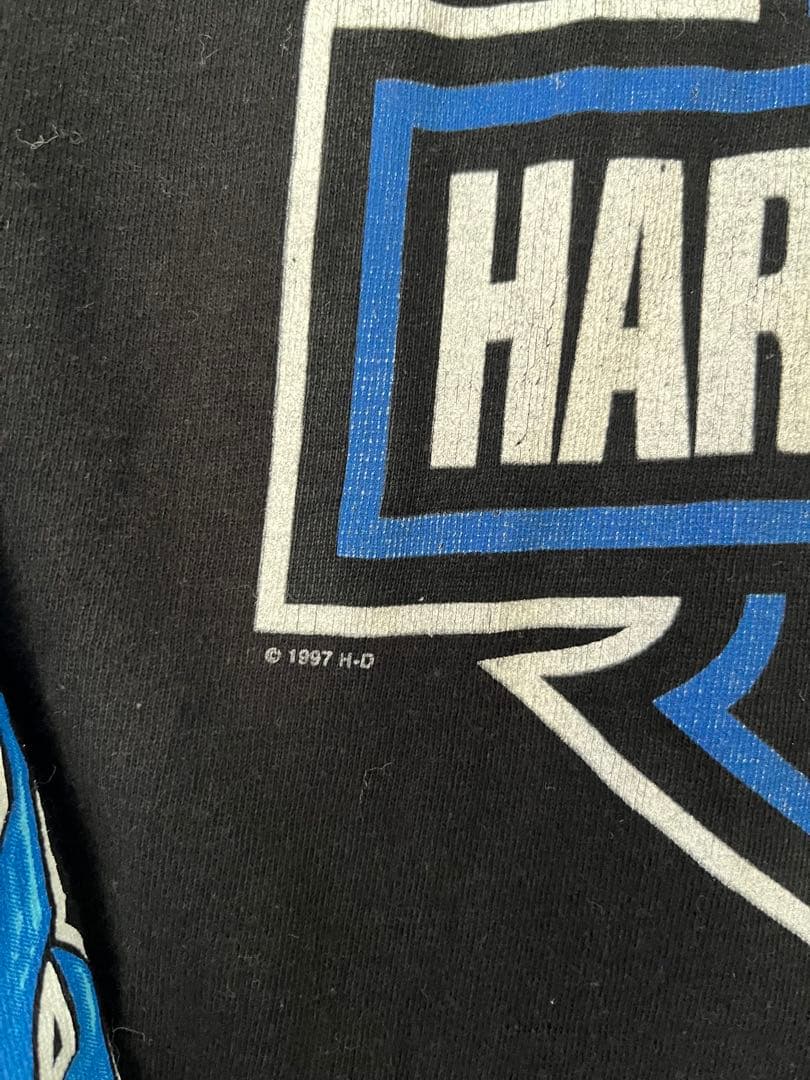 白窪　90s 00s harley davidson ハーレー ブルー