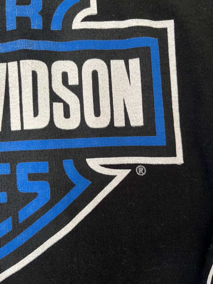 白窪　90s 00s harley davidson ハーレー ブルー