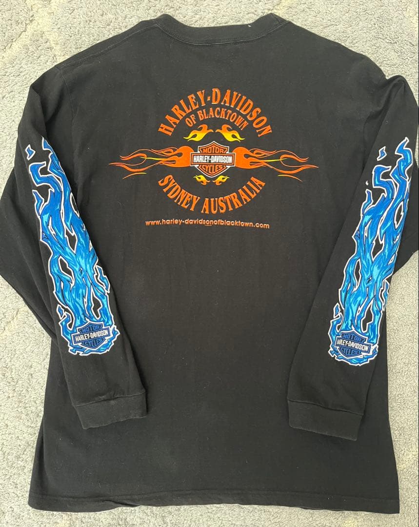 白窪　90s 00s harley davidson ハーレー ブルー