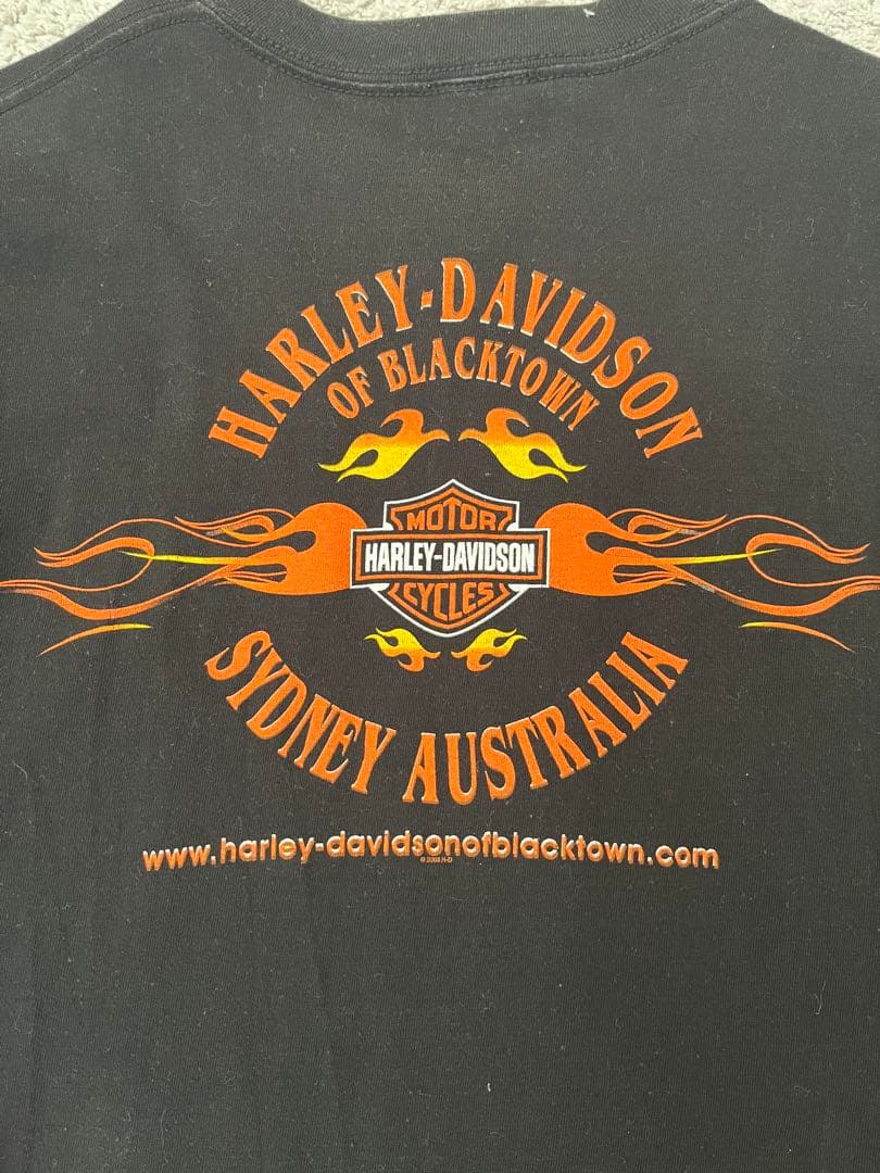 白窪　90s 00s harley davidson ハーレー ブルー