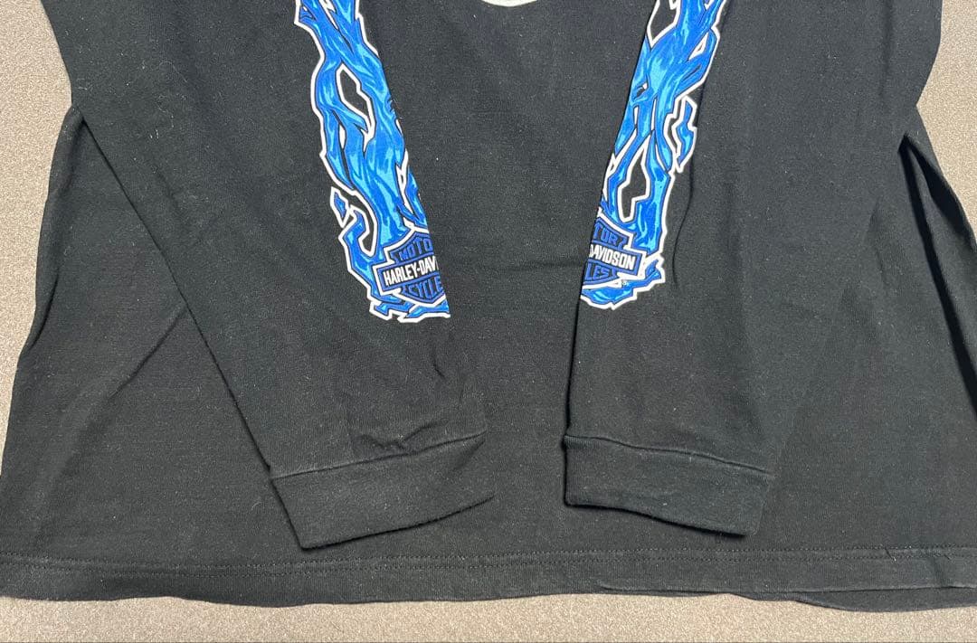 白窪　90s 00s harley davidson ハーレー ブルー